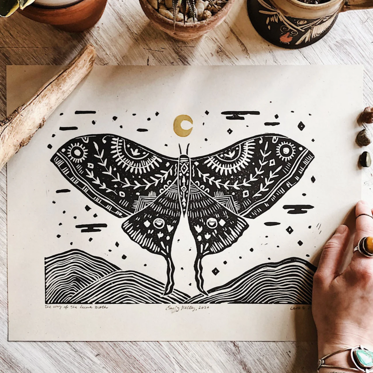 Lunar Moth – Heaslewood Fine Arts